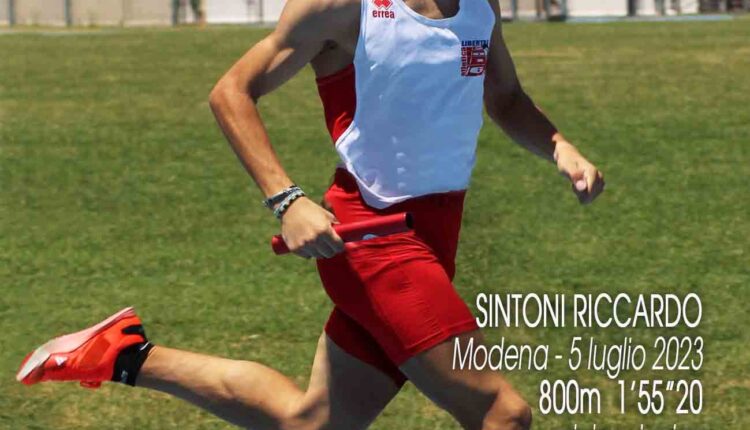 sintoni 800